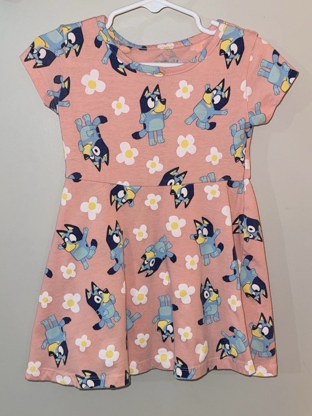 Bluey toddler girls pink floral print dress 3T